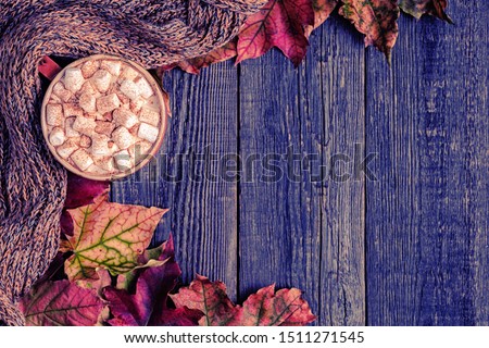 Autumn background with hot chocolate, knitted scarf, multi-colored leaves. Top view with copy space.