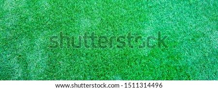 Green Grass Background Size For Cover Page