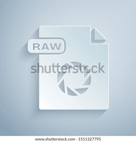 Paper cut RAW file document. Download raw button icon isolated on grey background. RAW file symbol. Paper art style. Vector Illustration