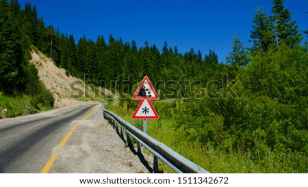 twisting asphalt road and tracic warning signs in pine forest