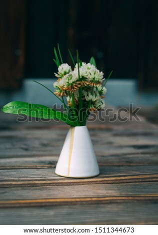 White clover flowers field in a mini vase isolated on wooden background
