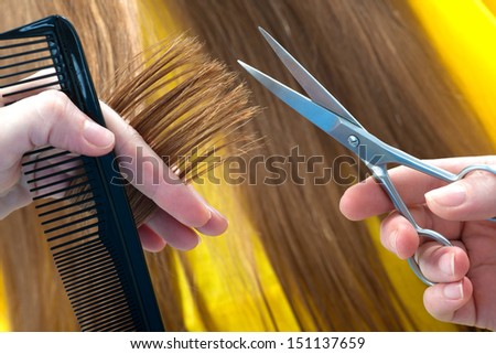 hands of the hairdresser cutting woman's  hair