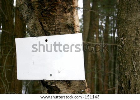 Design element: put your message on this sign, nailed to a tree in the forest.