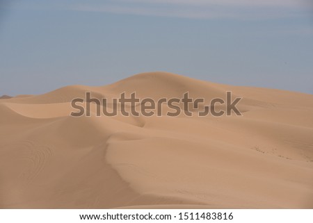 Sand Dunes in the summer
