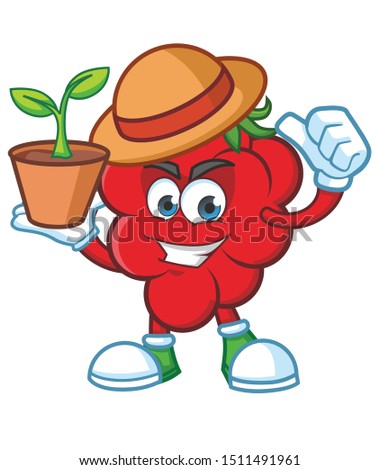 farmer Raspberries with straw hat Mascot character design vector
