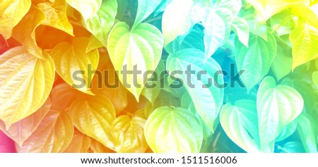  Beautiful pastel color heart shaped leaves background.                              