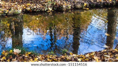 Autumn in forest. Blurred reflection of trees with golden leaves and blue sky with clouds in water.