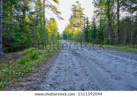 gravel road through forest in Varmland Sweden