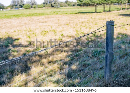 Picket fence with a strand of barbed wire along the top