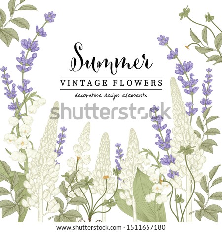 Floral Botanical Illustrations. Lavender and Lupine flower drawings.Natural line art on white backgrounds. Hand Drawn summer botany.Vector.