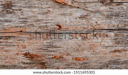 Wood texture background. Horizontal crack on the centre of the board. Old wood surface with old pieces of paint