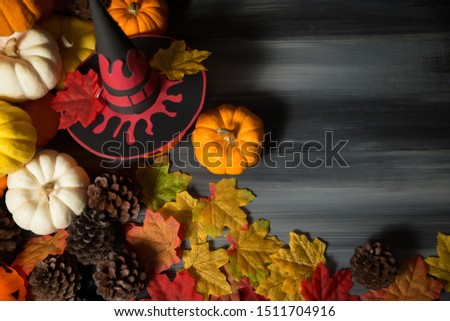 A pumpkin wearing a Halloween witch hat with maple leaves on dark background.