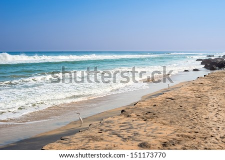 Beautiful view of  tropical beach on the coast Varkala, Kerala. India
