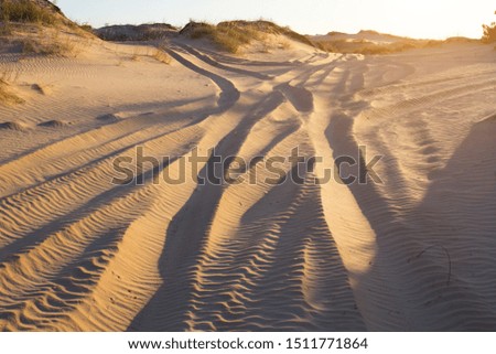road in the sand in a desert at sunrise, natural beautiful landscape