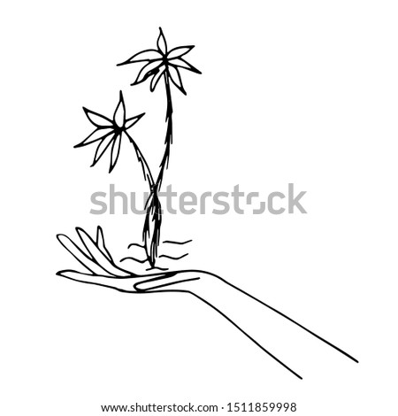 Palm tree in the palm of your hand. Line drawing. Vector illustration.