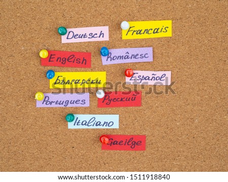 Flat lay Flash Cards with names of languages pinned on a cork board. Learning Language concept