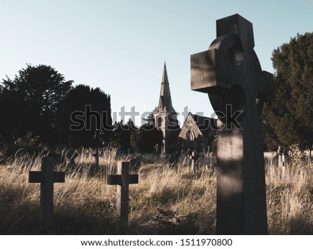 A spooky, eerie, overgrown graveyard with a church in the background. With a muted edit.