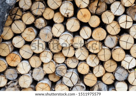 wall firewood - stacked of firewood prepare for the fireplace, barbecue, Background and texture 