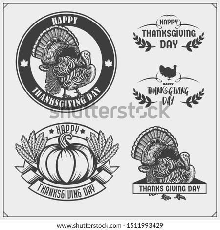 Set of Thanksgiving Day emblems, labels and design elements for greeting cards. Vintage style.