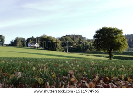 A photo of simple life in an atotic Belgian Ardennes village of Coo, in Wallonia where houses and a tree can be seen in a peaceful village environment