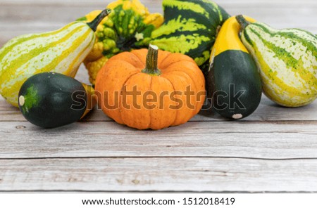 Various sort of decorated pumpkins on wooden texture. Studio shot