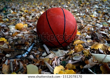 Orange ball abandoned among autumn leaves. Spots equipment and fallen leaves.