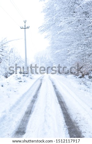 Landscapes of the winter forest with falling snow - wonderland park with snowfall. Snowy winter landscape
scene - Image
