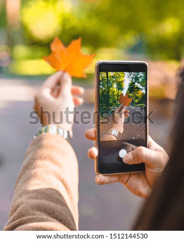 woman taking picture on phone of yellow maple leaf autumn season