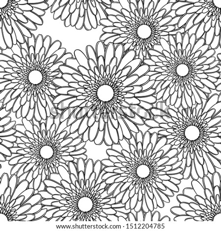Vector seamless pattern of outline gerbera flowers in black color on white background.