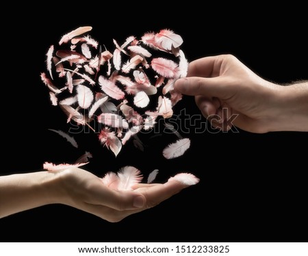 The male hand gives the woman the heart be made of bird feathers on black isolated background. Concept of gifts giving.