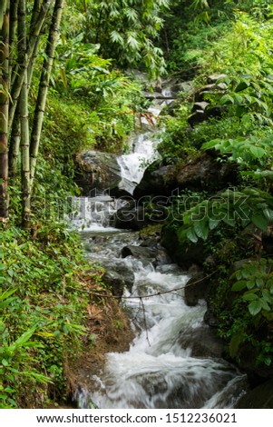 A picture about a waterfall in Sa Pa jungle in north Vietnam during summer