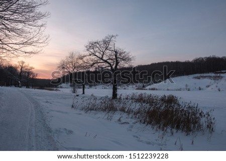 on the shore of a winter lake with two trees in the foreground with branches against the sunset sky, and the path on the trampled snow goes deep into the picture