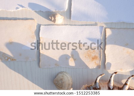 Stylish branding mockup to display your artworks.  Mock up on wooden table background. Flat lay top view. Blank greeting card. Feminine wedding stationery, desktop scene with seashells.