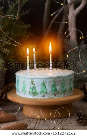 Celebratory cake decorated with painted Christmas trees on a dark background of branches and cones. Rustic style.