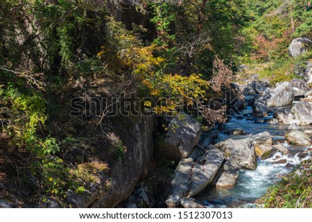 Mitake Shosenkyo Gorge Autumn foliage scenery view in sunny day. Beauty landscapes of magnificent fall colours. A popular tourist attractions in Kofu, Yamanashi Prefecture, Japan