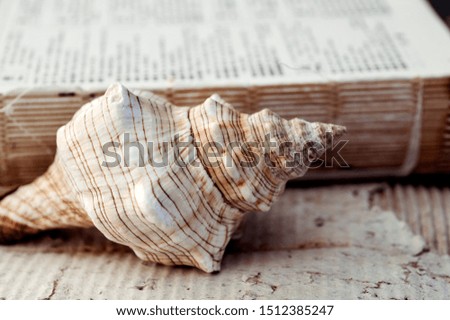 Beautiful seashell on tattered background with old damaged book. Contemplative art photography.