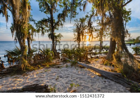 Fontainebleau State Park is a beautiful park in Louisiana. This may be one of my favorite images in my portfolio. The memories behind the pictures tell the biggest story.
