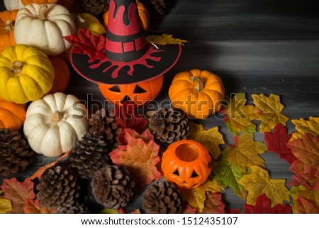 A pumpkin wearing a Halloween witch hat with maple leaves on dark background.