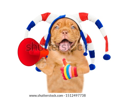 Funny puppy in jester cap holding megaphone and showing thumbs up. isolated on white background