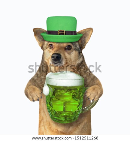 The dog in green hat with a mug of beer celebrates St. Patrick's Day. White background. Isolated.