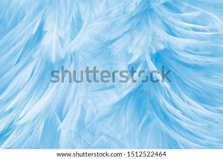 blue feathers line texture background
