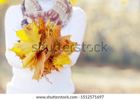 Autumn time. Women 's hands holding a bouquet of colorfull maple leaves. Close up image. Close up picture