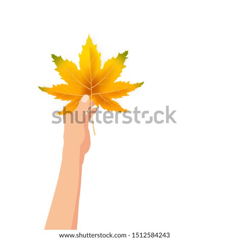 Hand hold autumn colorful leaf bright bouquet fall, floral. Hello Autumn lettering. Vector illustration isolated