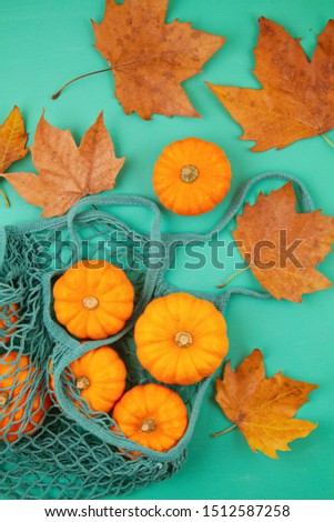 Top view autumn composition with pumpkins in mesh shopping bag on turquoise background. Autumn food, thanksgiving, halloween concept for plastic free, zero waste style. Flat lay