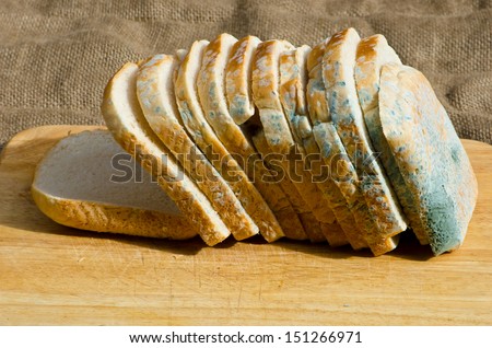 moldy bread Royalty-Free Stock Photo #151266971