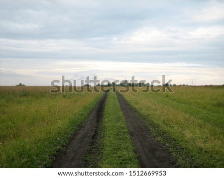 Dirt road on a flat field of grass at the end of the day under a sky with clouds. Ruts of black earth cut the green carpet of grass. The grass in the field was yellow in places. A flat horizon.
