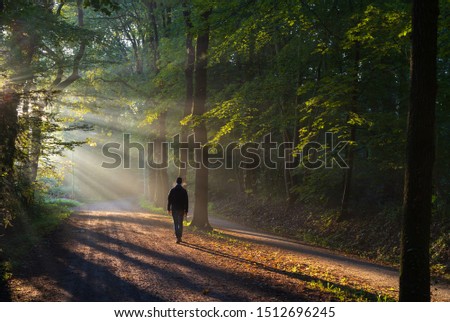 Man walking in a lane with the sunlight breaking through the trees. Royalty-Free Stock Photo #1512696245