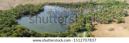 Aerial shot of the beautiful Lagoa das Araras, lake with dead trees, surrounding rests of rainforest and pasture land, Bom Jardim, Mato Grosso, Brazil
