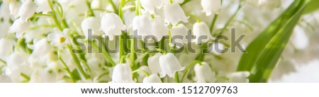 banner of Lily of the valley flowers. Natural background with blooming lilies of the valley lilies-of-the-valley.