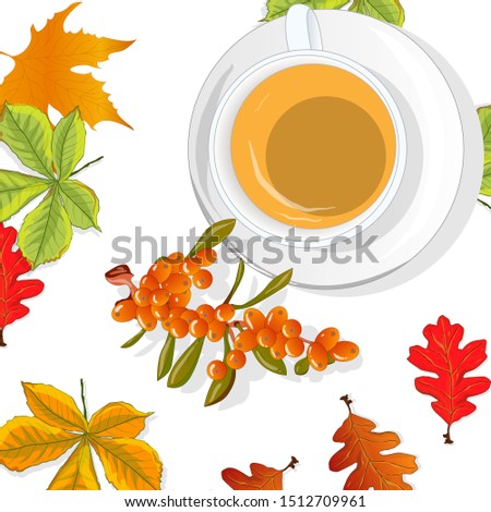 Cup of sea buckthorn tea on the dish. Branch of sea buckthorn berries with leaves. Vector illustration set on white background. 
